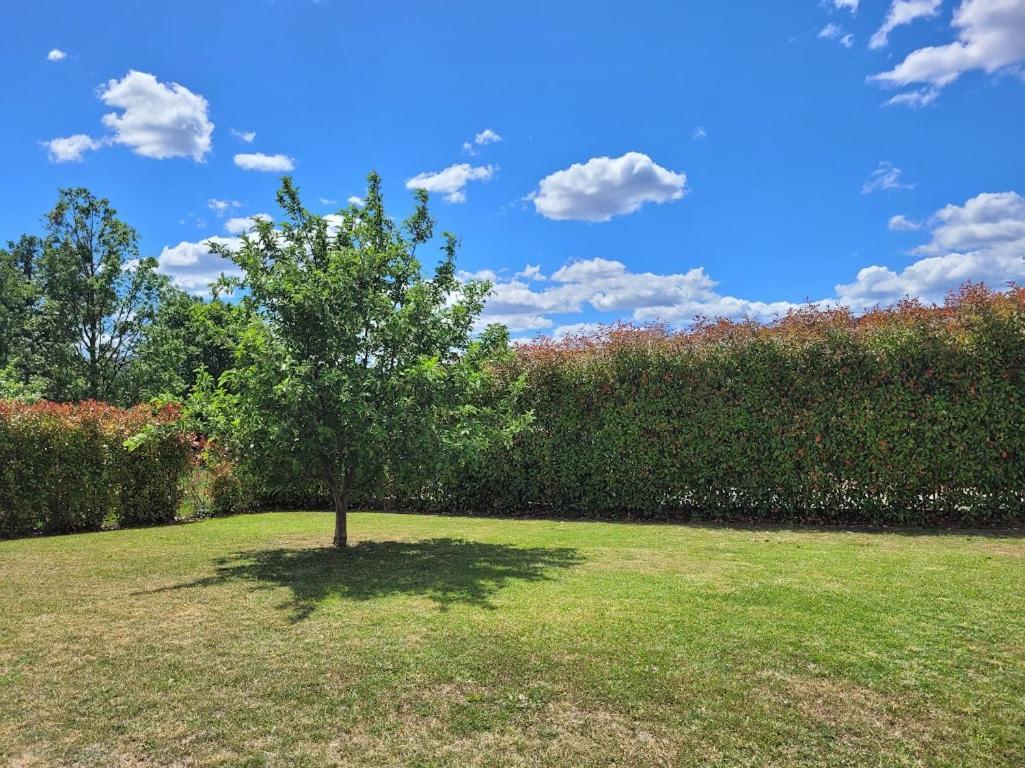 Holiday home Les Palmiers En Provence