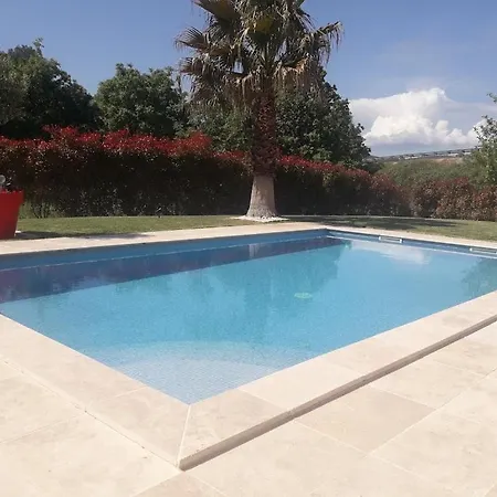Villa Les Palmiers En Provence Besse-sur-Issole Exterior photo