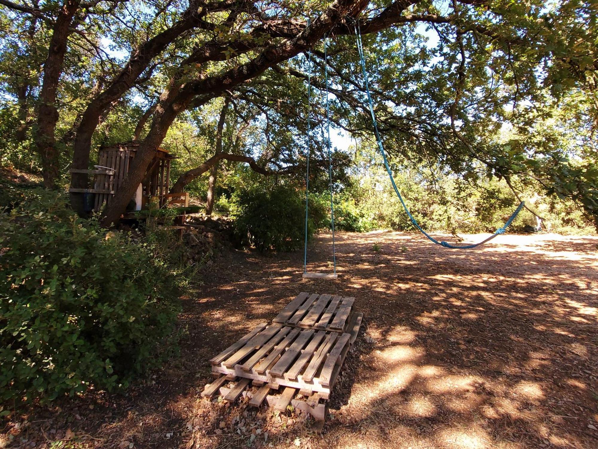 Les Palmiers En Provence Ferienhaus